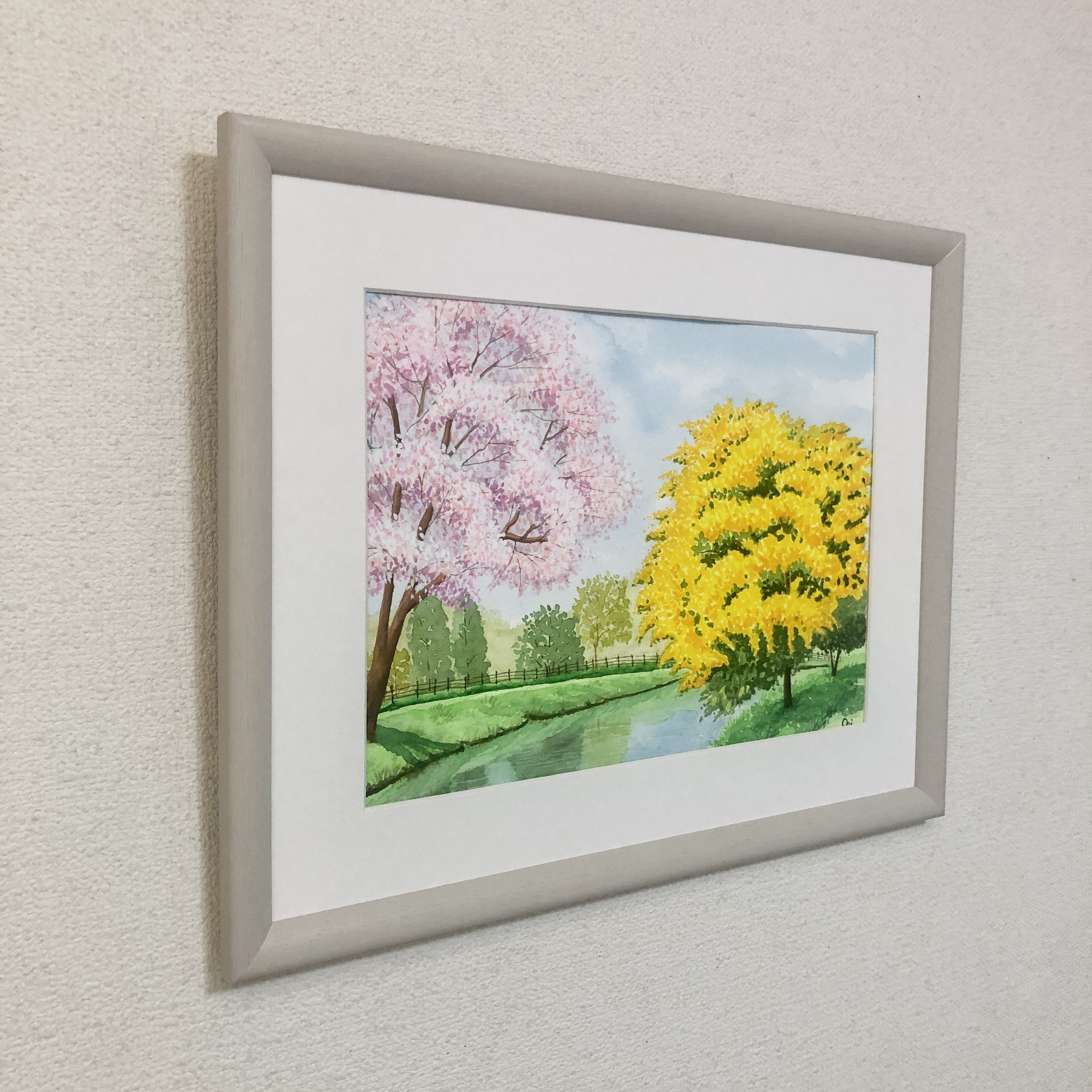 桜とミモザ」透明水彩画 原画 風景画 額縁付 F4サイズ 水彩絵具、墨