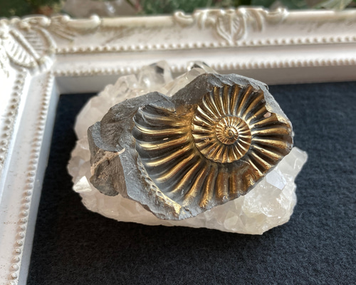 47989a9fb07c2940f15ad76ae350fb