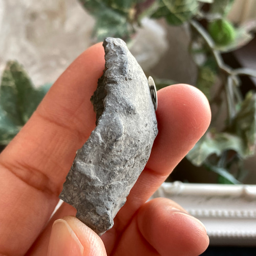 ドイツ産 パイライト化アンモナイト(プレウロセラス)跡化石 B 天然石