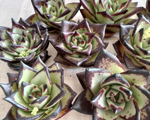 6971146ceae24a535e8ab8d1d7dfc8