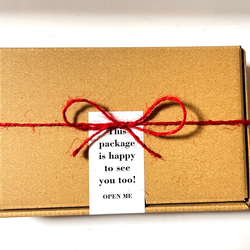 マリンブレス　アクアマリンメイン 3月誕生石　送無 5枚目の画像