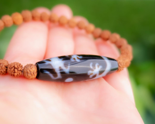 268c2db853cacb148767fc74f77482