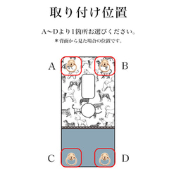  第10張的照片