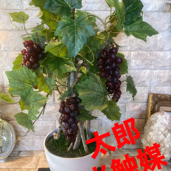 89b9fb43fd471cc5ade114f9cfb75a