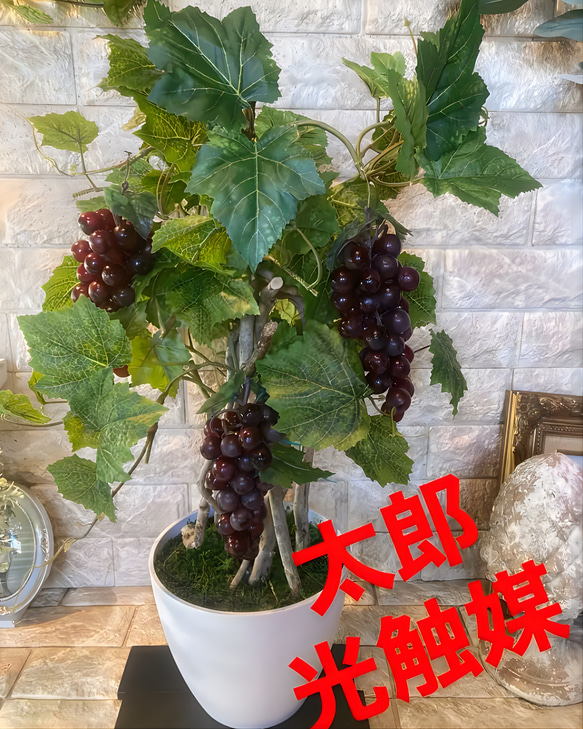 光触媒　人工観葉植物　ウォールグリーン　造花　アレンジ　マスカットブドウ 光触媒 人工観葉植物 ウォールグリーン 造花 アレンジ マスカット