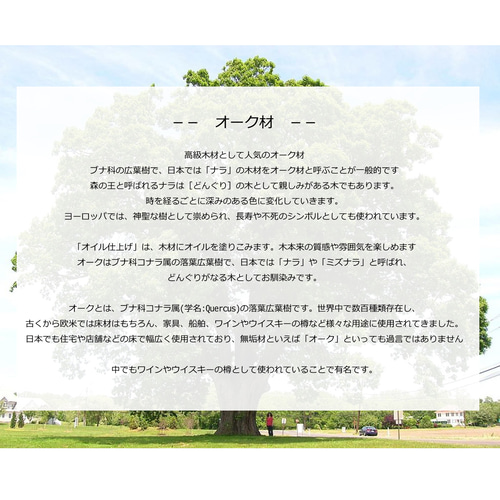 木軸シャープペンシル PG-オーク T-1B （茶色系） □製図用先端改短切