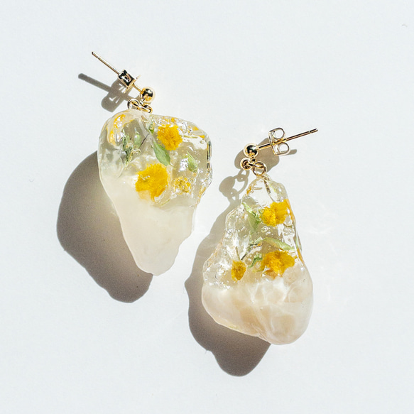 kiki spring ~mimosa~ /お花のピアス (イヤリング変更可能) ミモザ 春 樹脂 母の日 誕生日 4枚目の画像