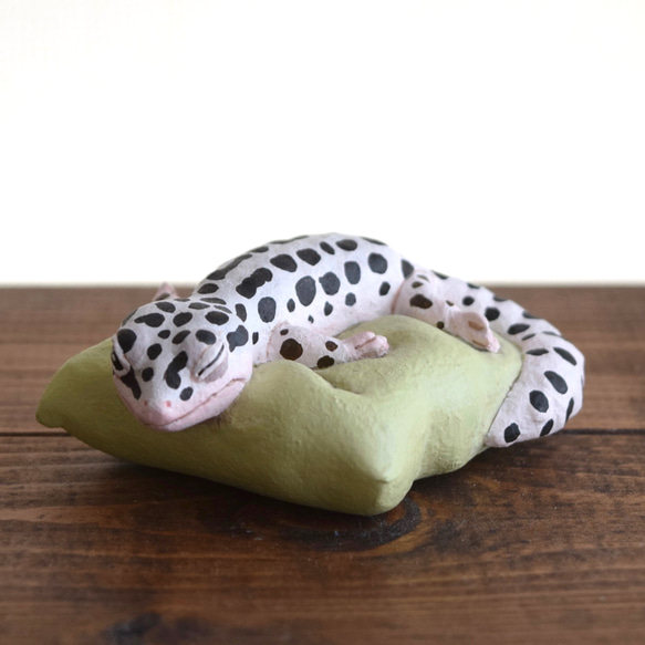 Sleeping Leopard gecko-Mack Snow 第1張的照片