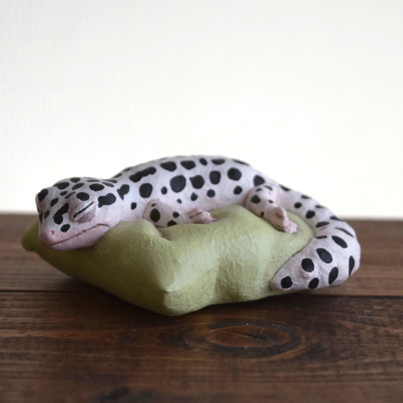 Sleeping Leopard gecko-Mack Snow 第3張的照片