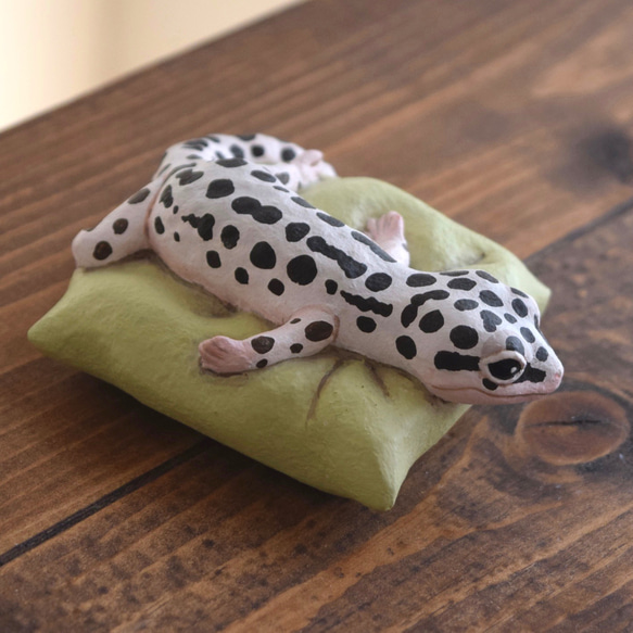 Sleeping Leopard gecko-Mack Snow 第5張的照片