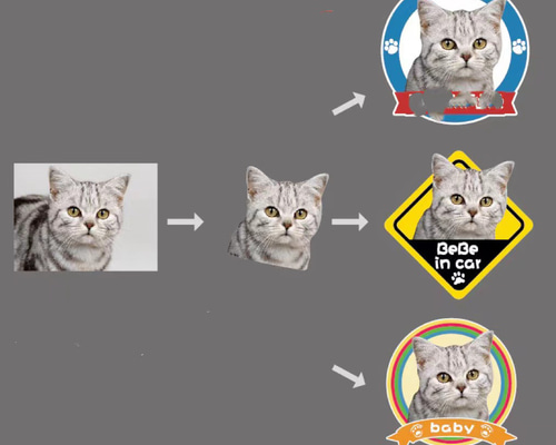 42467b5405b7c805bb9198665c2490