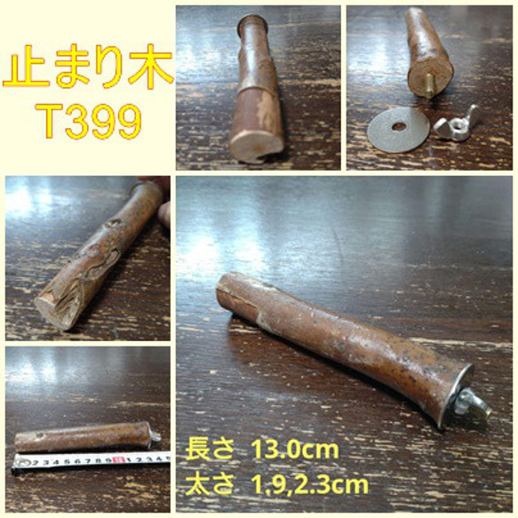 止まり木 miii 9998626【More Style】with専用止まり木 M/Sサイズ共通 φ18mm 鳥