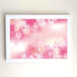 イラストフレーム「桜」A4版(ホワイト) 1枚目の画像