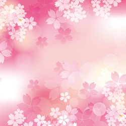 イラストフレーム「桜」A4版(ホワイト) 2枚目の画像