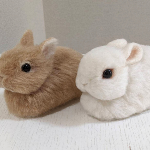 ネザーランドドワーフ（うさぎ）リンクス 植毛