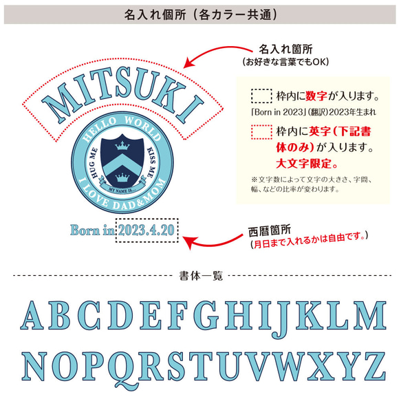 カレッジロゴ03 アメカジ キッズ ベビー 名入れTシャツ 80～150 名前入り 出産祝い ギフト 男の子 女の子 2枚目の画像