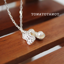 tamai_pn5837
