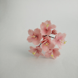 粘土の桜ピック  樹脂粘土の花  濃いピンクでお花見  送料無料 2枚目の画像