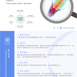 【透明標本工房フィッシュハート】透明標本 - Pelodiscus sinensis 9枚目の画像