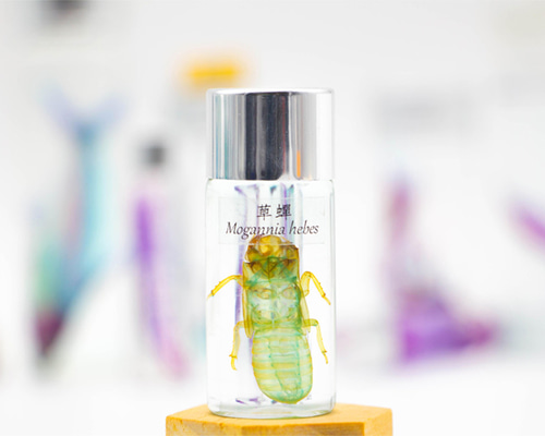 9424090ac68a9cdab7db66e2897f39