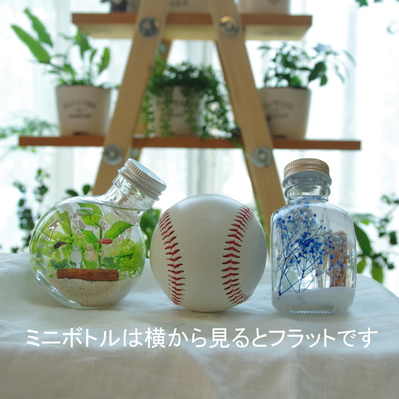 【作りたて！再販3】うさぎのしあわせ　春の花原　眩しい緑とコロコロ桃色千日紅。爽やかで可愛らしい春のミニハーバリウム 11枚目の画像