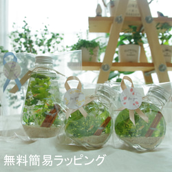 【作りたて！再販3】うさぎのしあわせ　春の花原　眩しい緑とコロコロ桃色千日紅。爽やかで可愛らしい春のミニハーバリウム 9枚目の画像