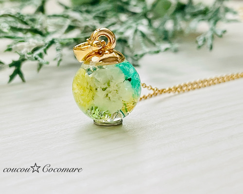 c2ae84b3be1a91573caaee48c56b98