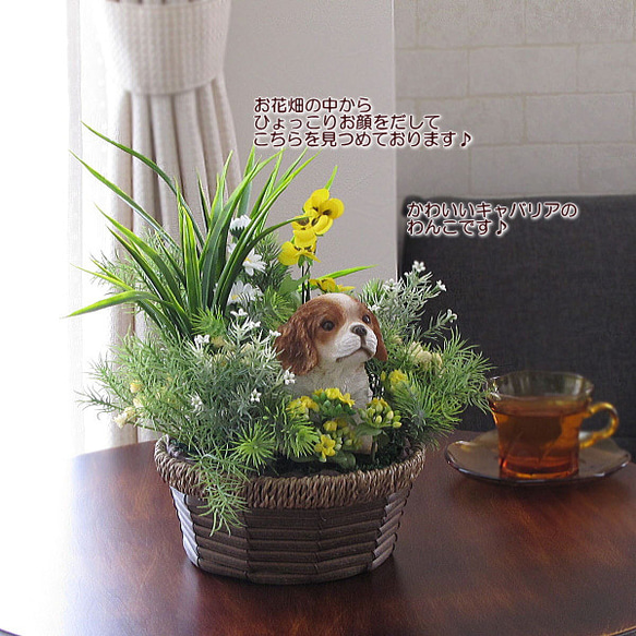 子犬のキャバリアと春のお花入りガーデンアレンジ　　造花　母の日　ギフト　cma019 7枚目の画像