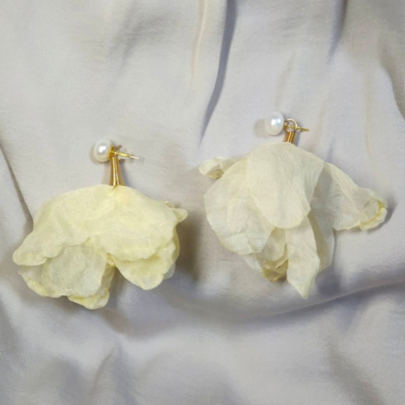 aaa様 純白フリル aaa様 純白フリル Images.aspx?fname=/store/