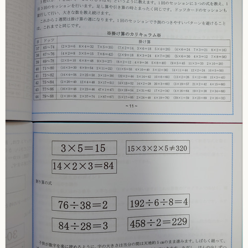 ドッツカード【0〜100】＆数式カード＆数字カード＆算数記号＆教え方カリキュラム 専用】ドッツカード【0〜100】＆数式カード＆数字カード＆算数