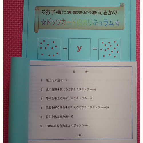 ドッツカード【0〜100】＆数式カード＆数字カード＆算数記号＆教え方カリキュラム 専用】ドッツカード【0〜100】＆数式カード＆数字カード＆算数