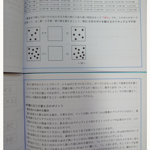 ドッツカード【0〜100】＆数式カード＆数字カード＆算数記号＆教え方カリキュラム 専用】ドッツカード【0〜100】＆数式カード＆数字カード＆算数