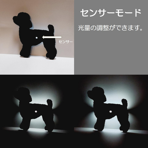 ウォールライト トイプードル　人感センサー機能付き2WAY USB充電 トイプードル ウォールライト 人感センサー機能付き2WAY USB充電 壁面