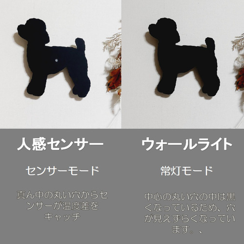 ウォールライト トイプードル　人感センサー機能付き2WAY USB充電 トイプードル ウォールライト 人感センサー機能付き2WAY USB充電 壁面