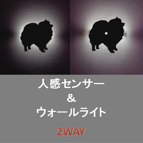 ポメラニアン ウォールライト 人感センサー機能付き2WAY USB充電