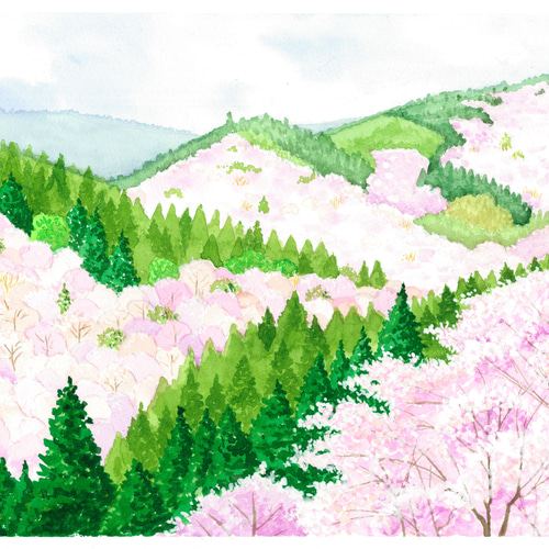 吉野の桜」透明水彩画 原画 風景画 額縁付 F4サイズ 絵画 Oni 通販