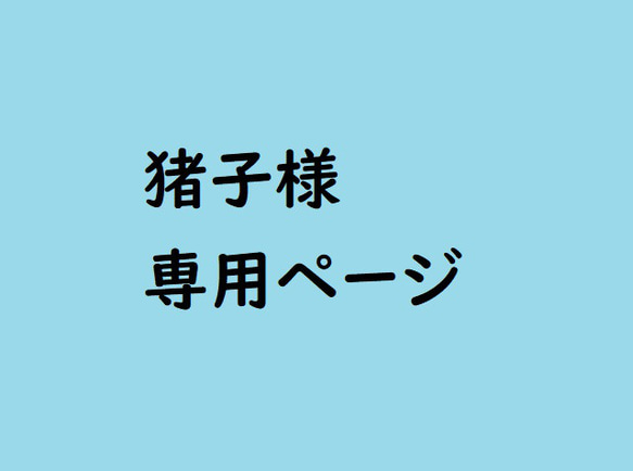 猪子様　専用ページ 1枚目の画像