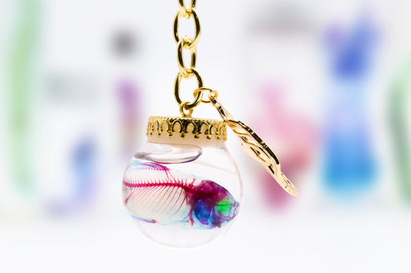 【透明標本工房 fishheart】透明標本球型鑰匙圈 - 日本鯽魚 Carassius auratus 第5張的照片