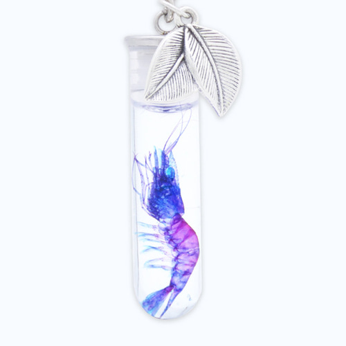 透明標本工房 フィッシュハート】透明標本キーホルダー - ヌマエビ