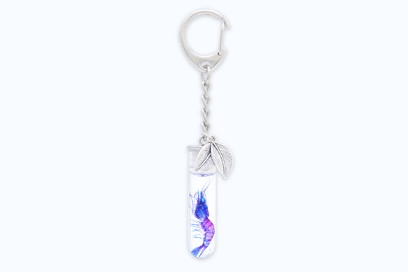 透明標本工房 フィッシュハート】透明標本キーホルダー - ヌマエビ