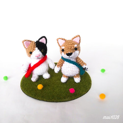 Standing cat(三毛) ＆ dog(柴) 1枚目の画像