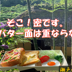 トースト専用　お皿　瀬戸の焼物　陶器 3枚目の画像