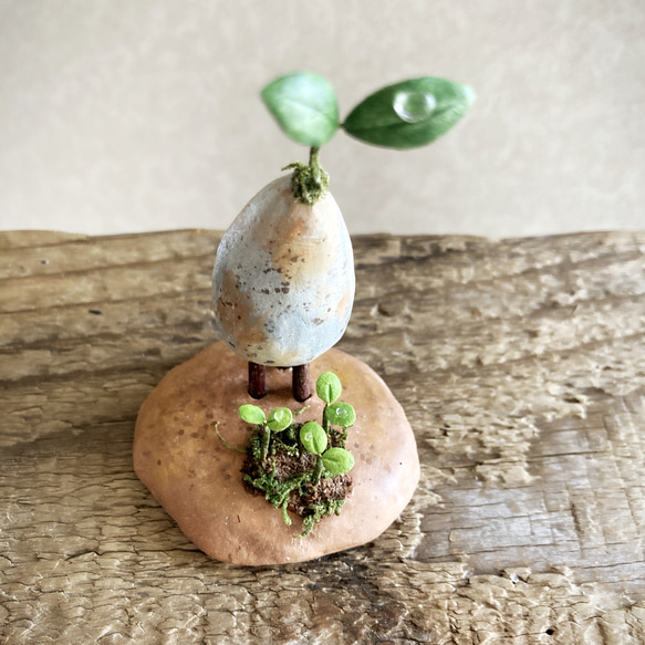 7872.bud 三本脚 育み中 4枚目の画像