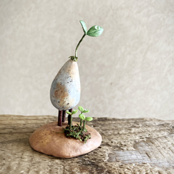 7872.bud 三本脚 育み中 1枚目の画像