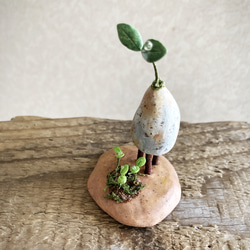 7872.bud 三本脚 育み中 3枚目の画像