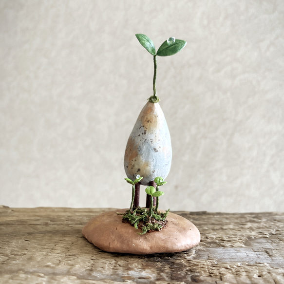 7872.bud 三本脚 育み中 2枚目の画像