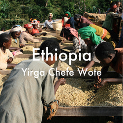 エチオピア　イルガチェフェ　ウォテ（モカ）　150g　自家焙煎コーヒー 1枚目の画像