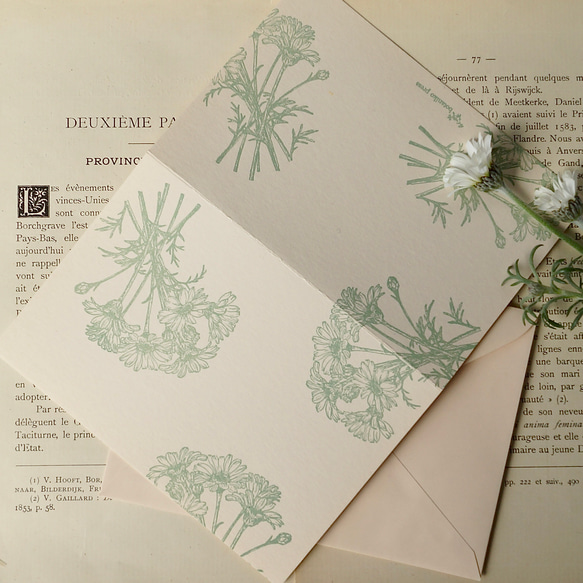 【花のグリーティングカード】ローダンセマム / カード1枚＋封筒1枚 / 活版印刷 1枚目の画像