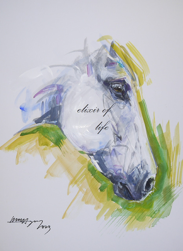 春の太陽光を受ける葦毛の馬２０２３（水彩画用紙２７ｃｍ×３７，５ｃｍ、アクリル、水彩） 1枚目の画像