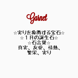 再販⭐︎奇跡の雫⭐︎ 選べる革色 天然ガーネット と タグ付き チョーカー （犬用迷子札・１月誕生石・真鍮 ） 3枚目の画像